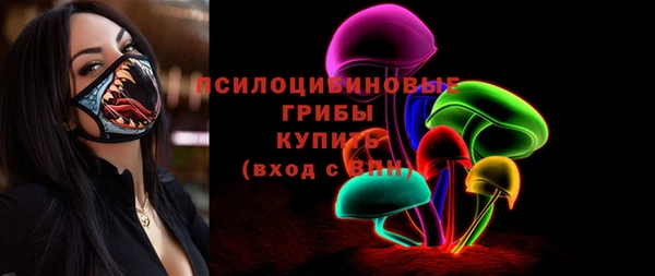 молекула духа Касимов